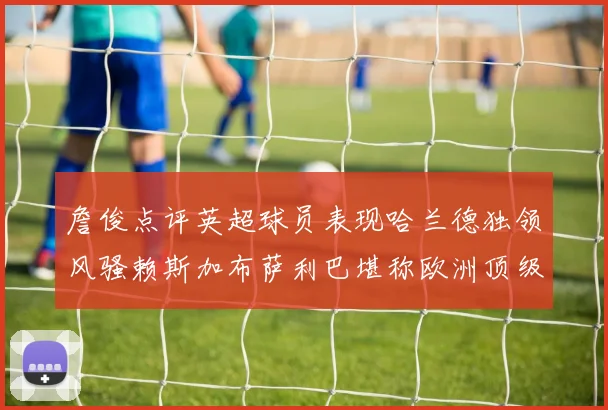 詹俊点评英超球员表现哈兰德独领风骚赖斯加布萨利巴堪称欧洲顶级